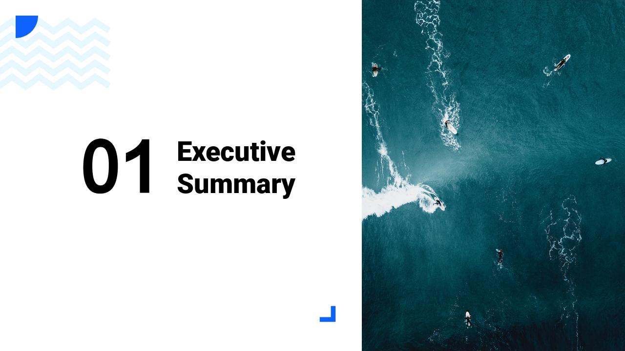 蓝色海洋背景竞品分析PPT模板-Executive Summary