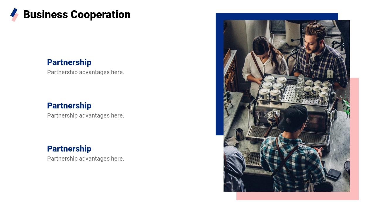 BUSINESS PLAN-Business Cooperation