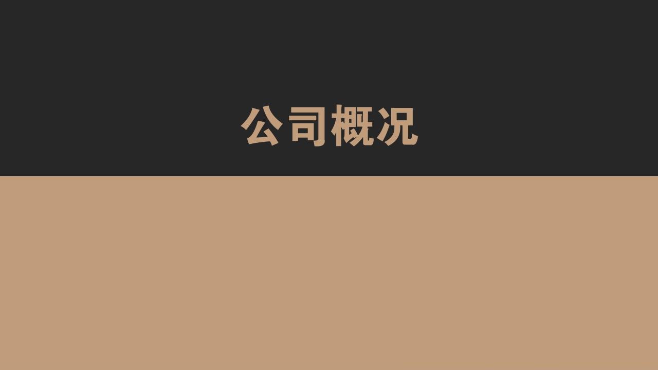 高端黑金大气通用公司简介PPT模版-公司概况