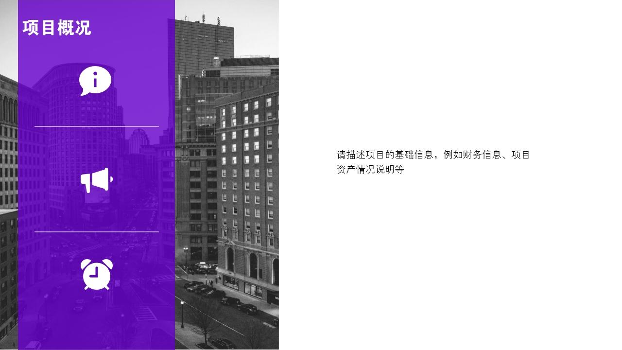紫色风景项目可行性研究PPT模版-项目概况<br>