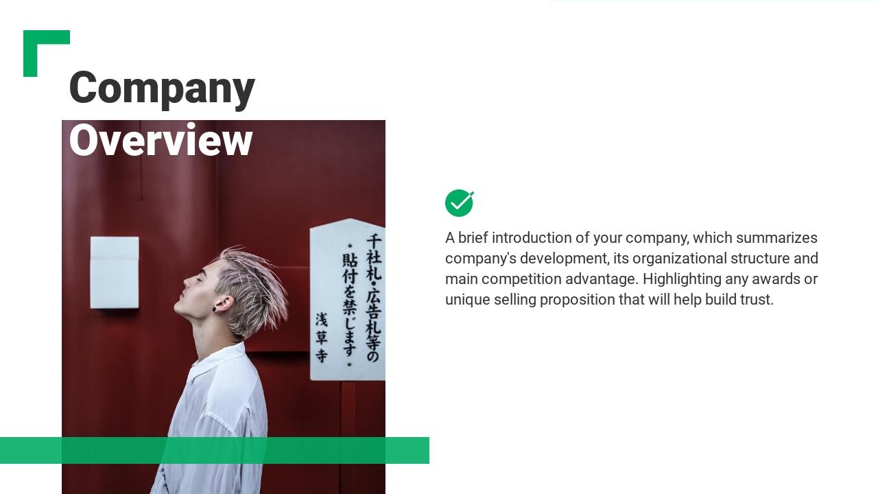 奢侈品电商商业计划书PPT模板-Company Overview