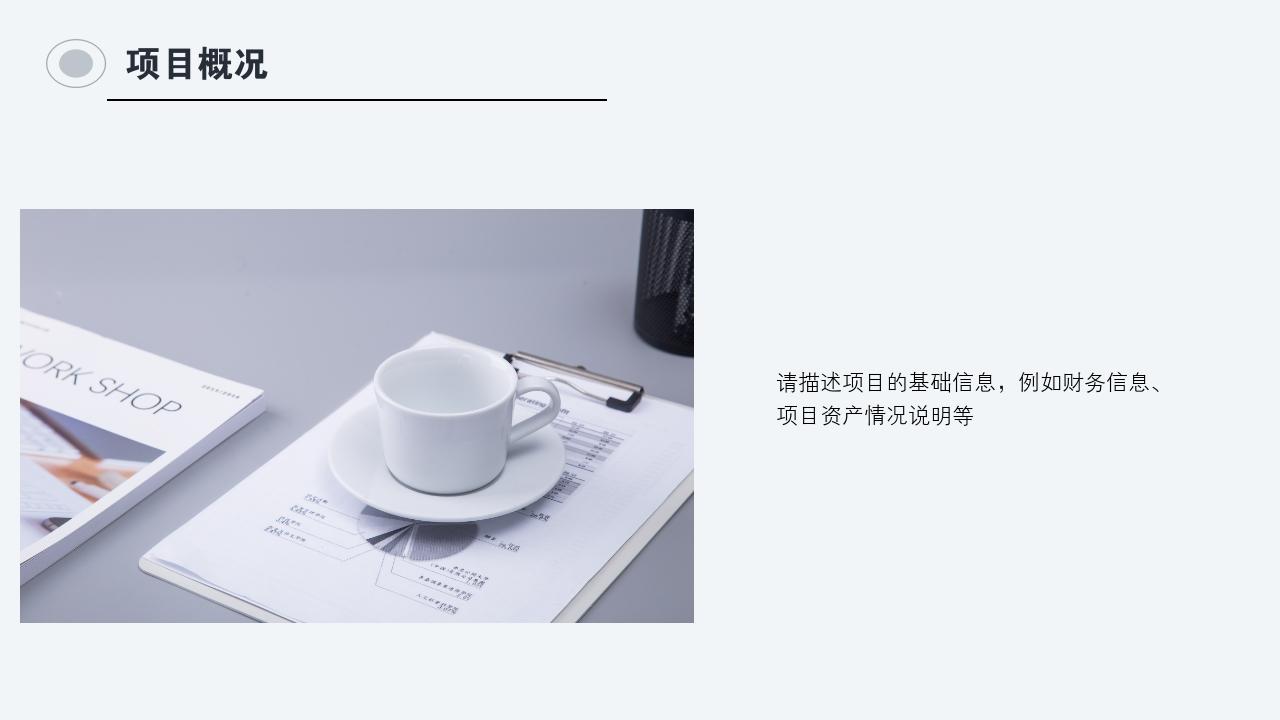 灰白商务项目可行性研究PPT模版-项目概况<br>