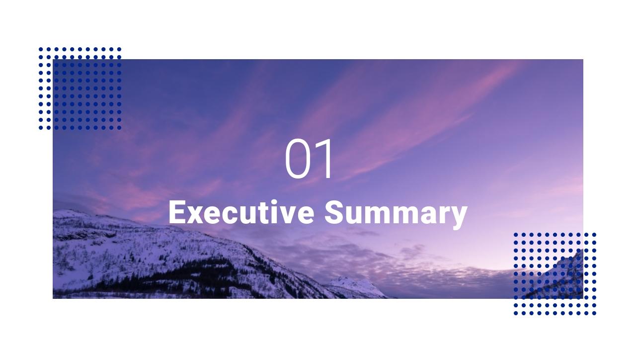 欧美科技产品竞品分析英文PPT模板-Executive Summary