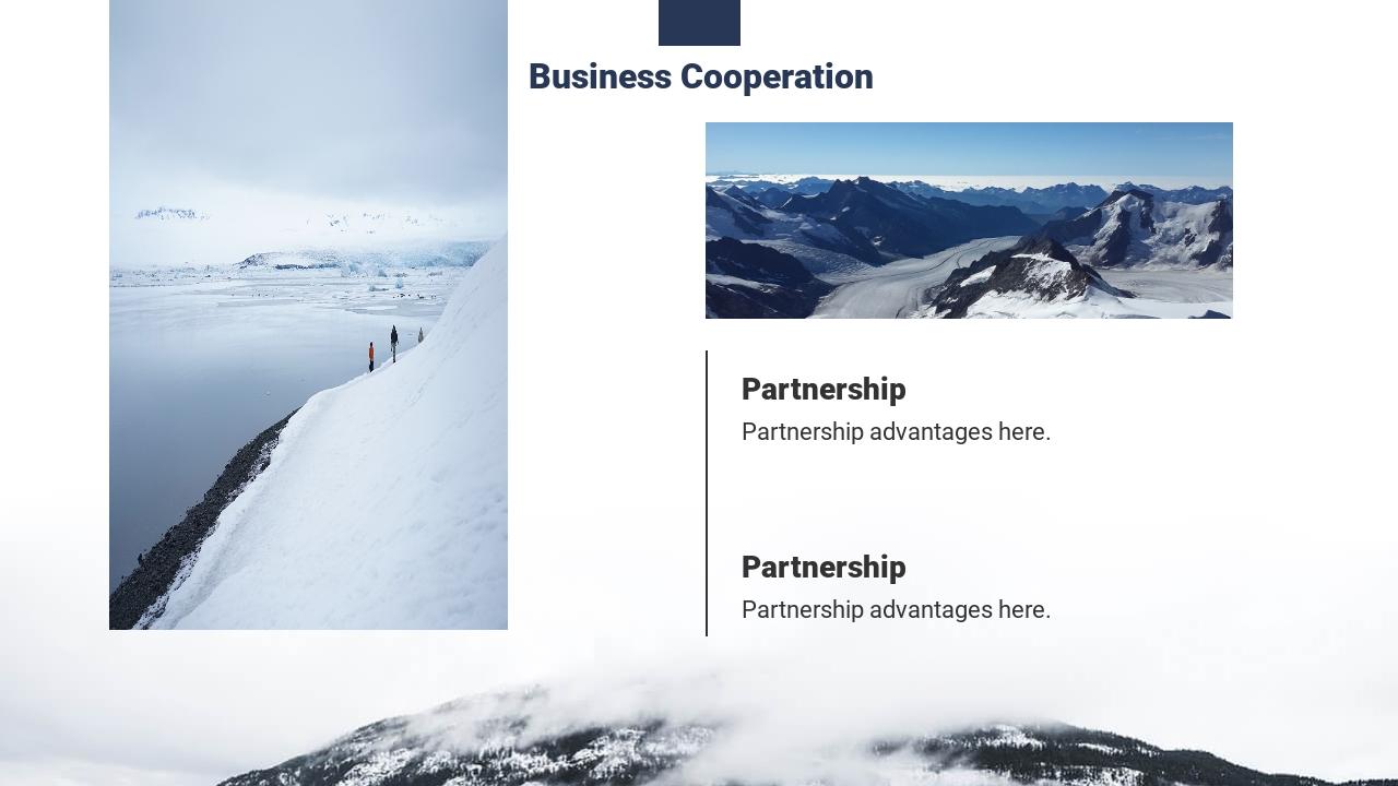 跨境电商出海项目结构完整商业计划书模板-Business Cooperation