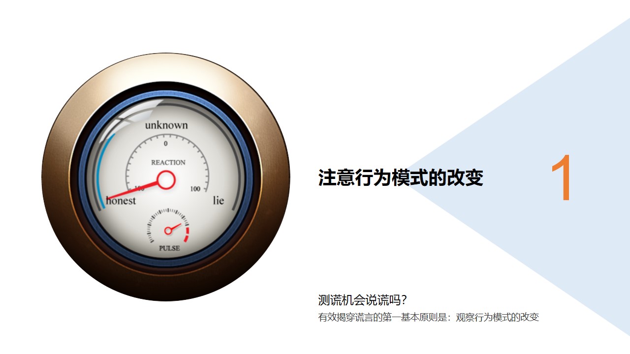 《透视谎言》读书笔记PPT范文/PPT案例-undefined