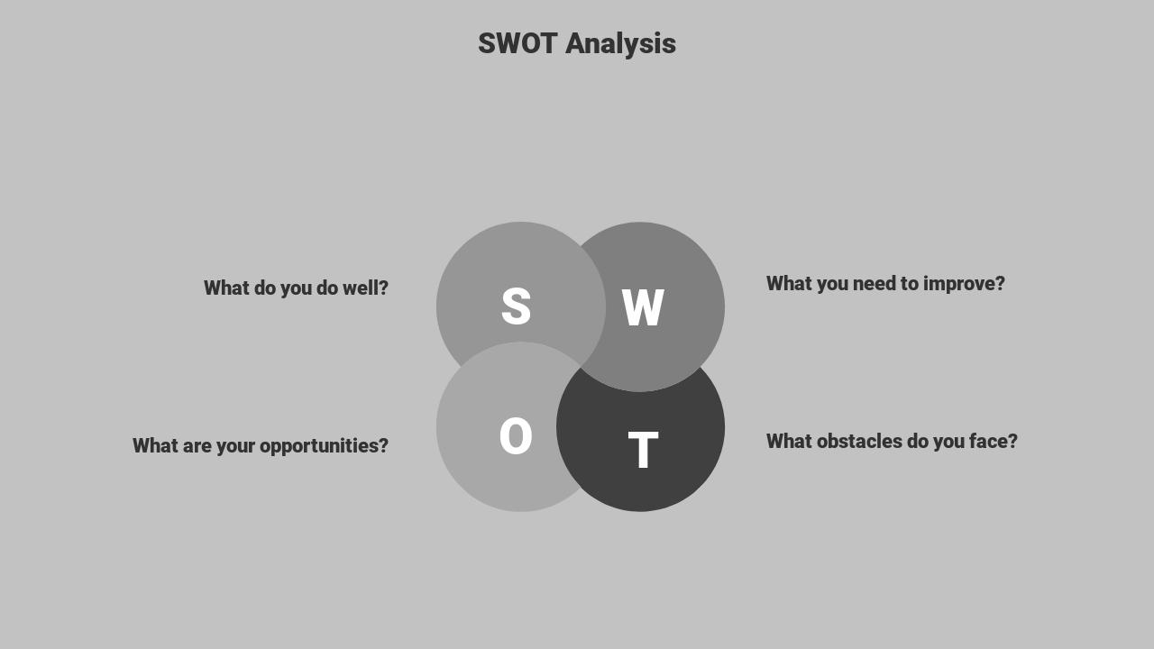 灰色商务家居市场营销方案-SWOT Analysis
