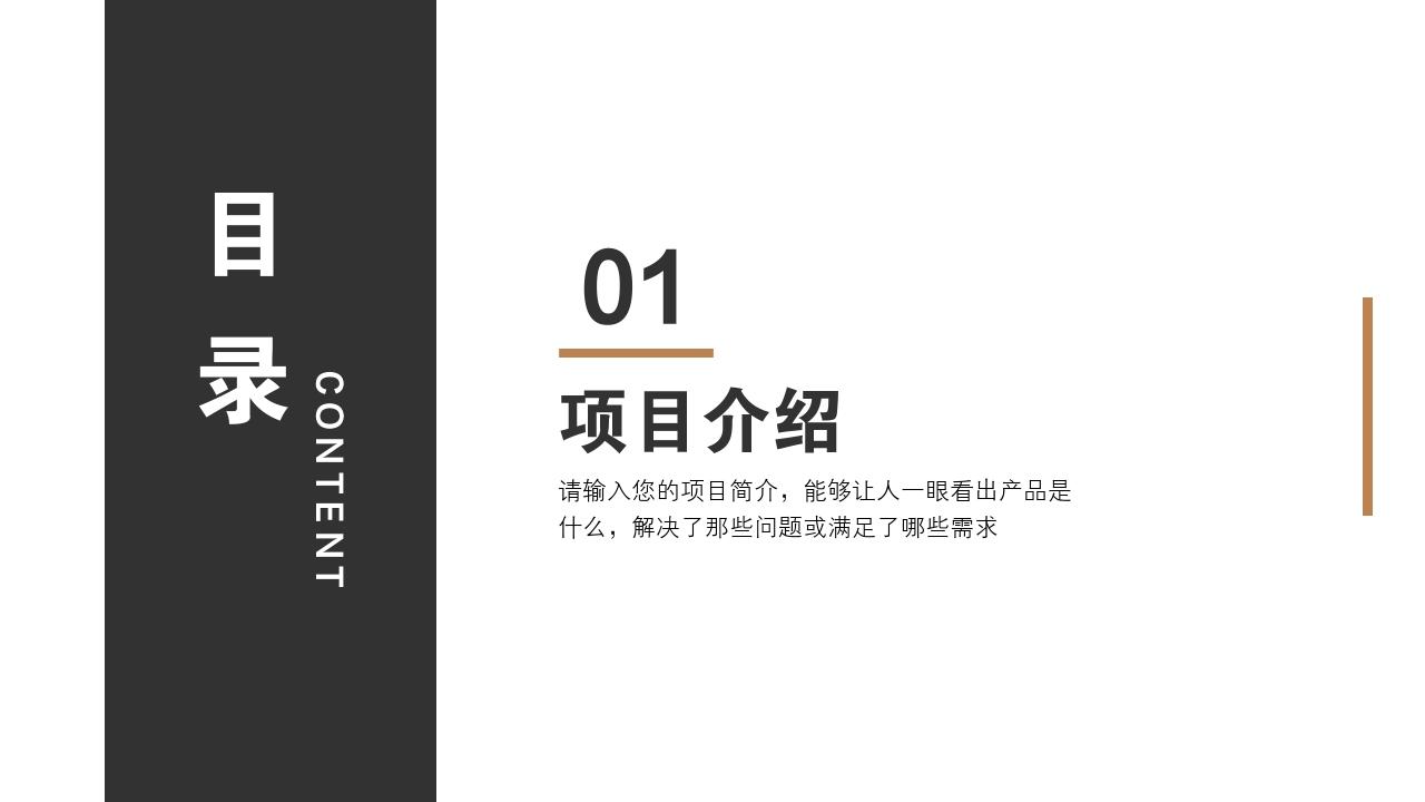 互联网股份制商业计划书模板-项目介绍