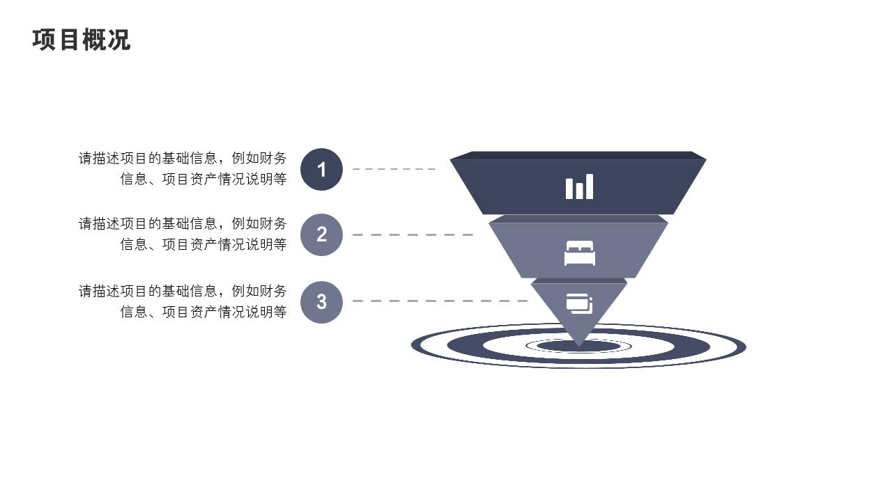 立体多边形项目可行性研究PPT模版-项目概况<br>