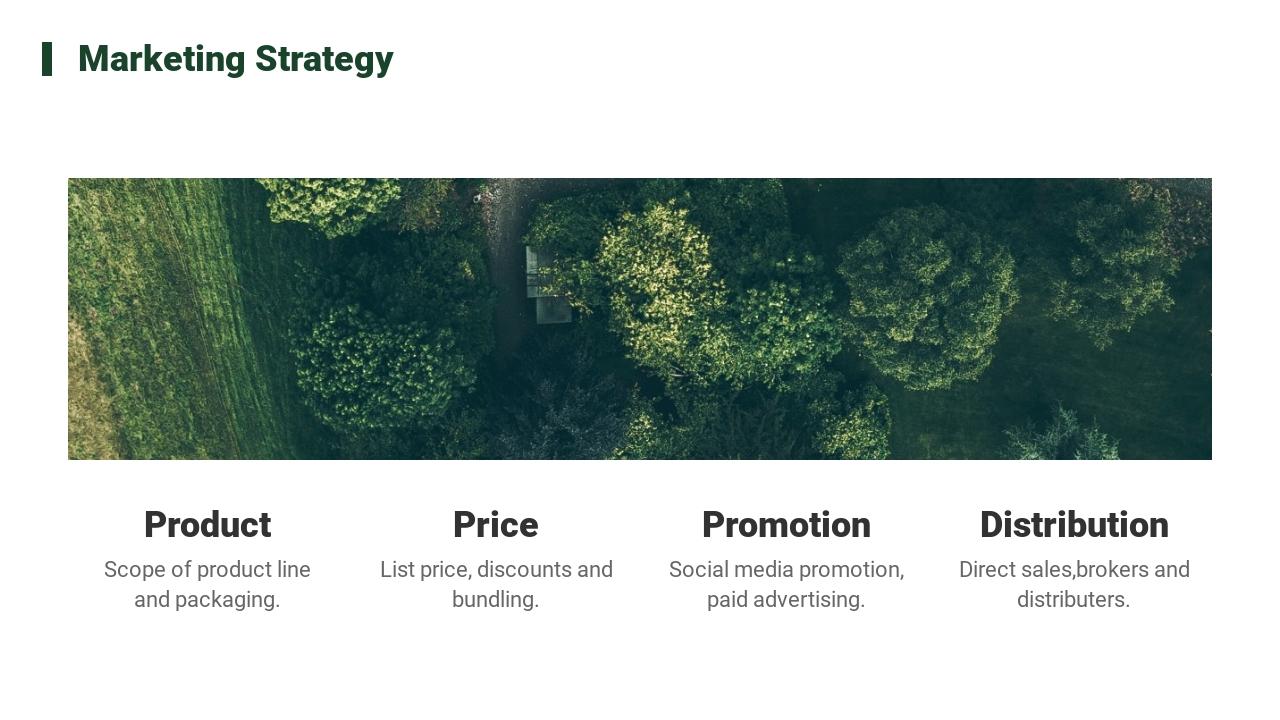 绿色植物市场运营策划英文PPT模板-Marketing Strategy