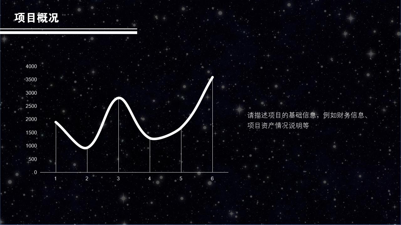 黑白星空项目可行性研究PPT模版-项目概况<br>